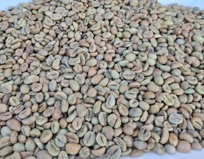 Kopi Robusta Gayo: Dari Kebun hingga Cita Rasa di Cangkir