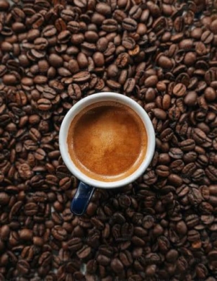 Perbedaan Kopi Robusta dan Arabika
