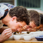 Cupping Kopi