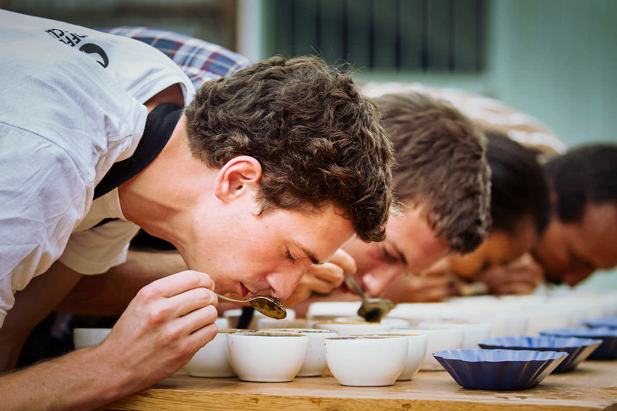 Cupping Kopi