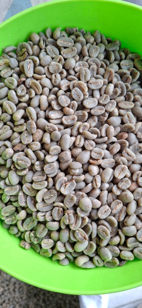 Arabika Gayo Specialty Fullwash