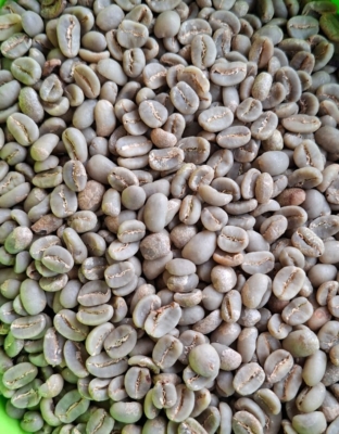 Arabika Gayo Specialty Fullwash