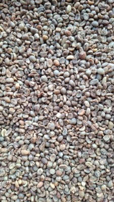 Arabika Gayo-Grade3