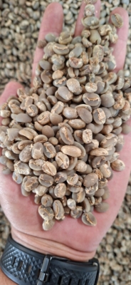 Arabika Gayo Grade-2
