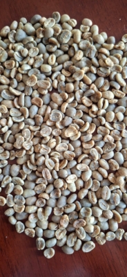 Arabika Old Crop