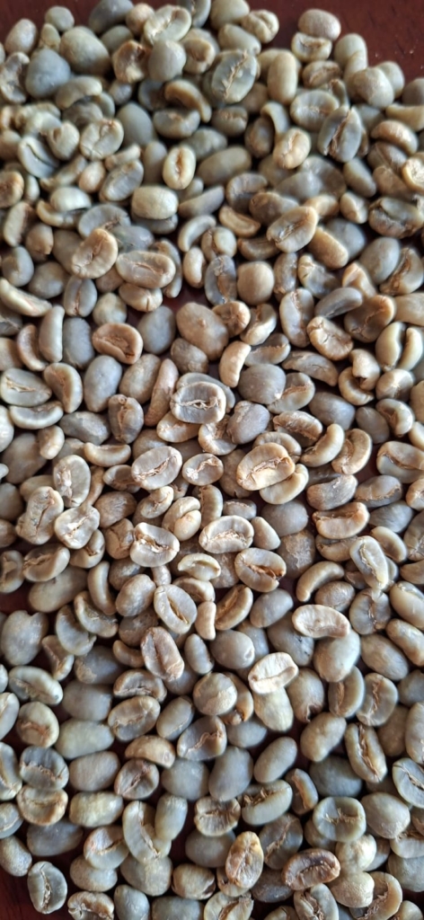 Arabika Old Crop