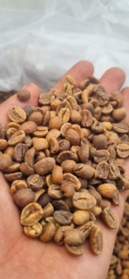 Arabika Gayo Wine Proses