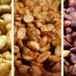 Arabika Gayo Honey Proses
