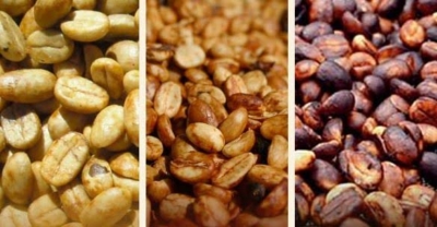 Arabika Gayo Honey Proses