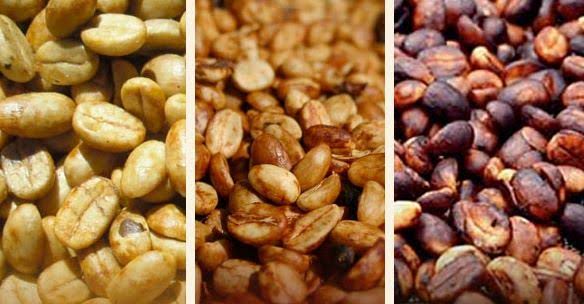 Arabika Gayo Honey Proses
